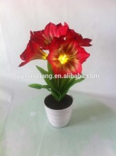 decorations flower light clivia