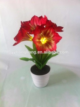 decorations flower light clivia