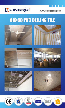 Manufacture Qualified plastic interior design ceiling, office simple false ceiling designs