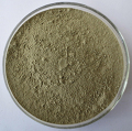 Fagopyrum esculentum Organic Buckwheat Grass Powder