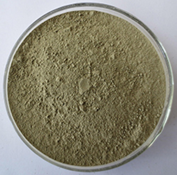 Fagopyrum esculentum Organic Buckwheat Grass Powder