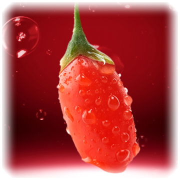 Red Power QIZITO 100% Natural Bulk Chinese Ningxia Zhongning Dried Fruit Red Organic Lycium Chinense