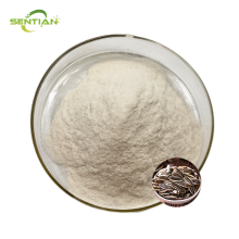High Quality Sunflower Seed Protein Extracts
