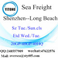 Trasporto del mare del porto di Shenzhen che spedisce a Long Beach