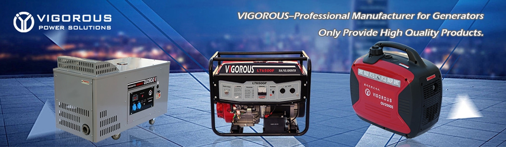 VIGOROUS--Manufacturer Specializing in Generators