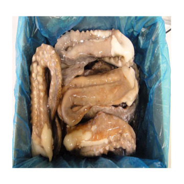 Ilex Squid Tentacle Cleaned Japanese Squid Tentacle Frozen Big Squid Tentacle