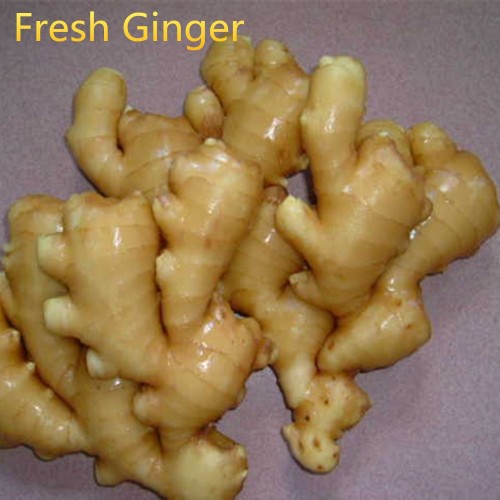 fresh ginger/air dry ginger from China Shandong