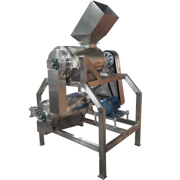 Dragon Fruit Processing Machine: Peeling, Seed Removal, and Pulping