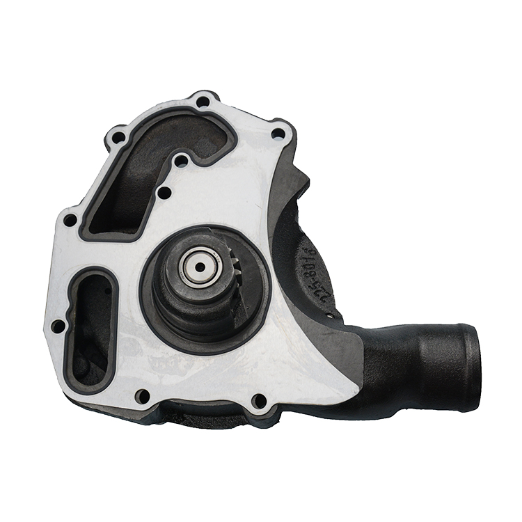 2258016 225 8016 Jpg 2258016 225 8016 Jpg