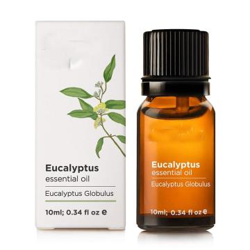 Private Label 10ml Eucalyptus Essential Oil Steam Distilled