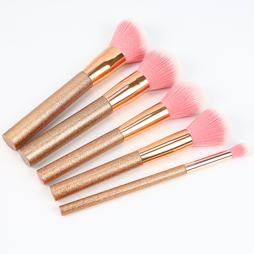 2021 High Quality 5pcs E-Friendly Plastic Handle makeup brush kit