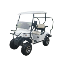 2-persoons 4WD elektrische offroad-golfkar