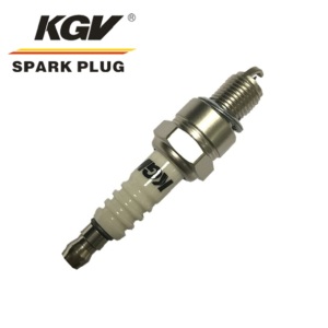 Small Engine Double Iridium Spark Plug D-C5HIX