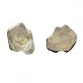 Natural Crystal Rough Stone Stud Earring