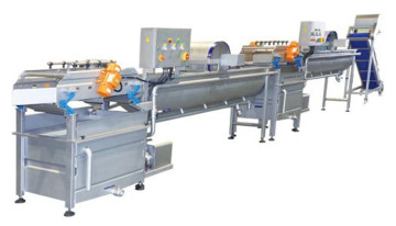 Fruit And Vegetable Process Machines