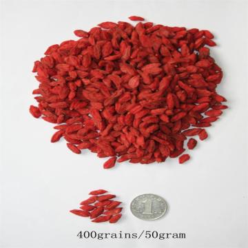 Hot sale Low Pesticide Dried goji berry fruit