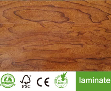 Fine Line Grains Surface in Laminate Products