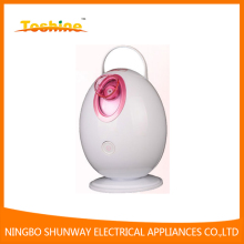 Egg Negative Ion Facial Sauna facial steamer