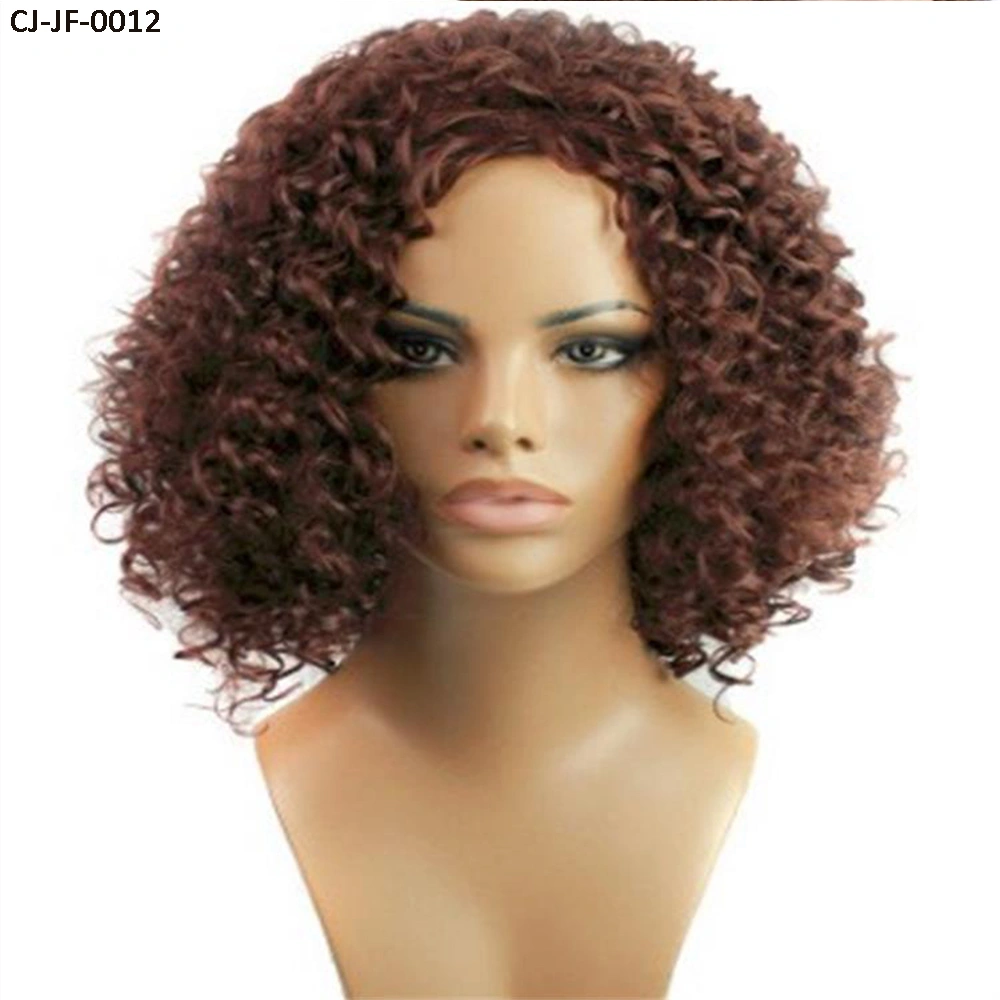 Fancy New Short Curly Hair Chemical Fiber High Temperature Silk Small Roll Afro Wig Cover Human Hair Full Lace Wigs for Women