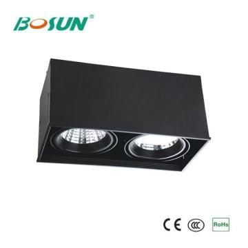 Simple Stucture 24Wx2 Rectangle Cold-rolled Steel COB LED Grille Light