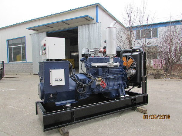 Biogas Natural Gas Methane Gas generators with heat recovery system