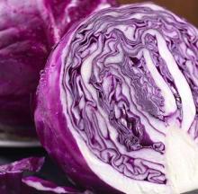Fresh Red Cabbage