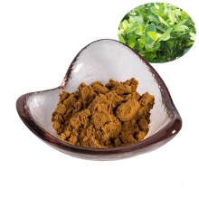 factory supply mate tea extract powder 10:1/mate tea powder