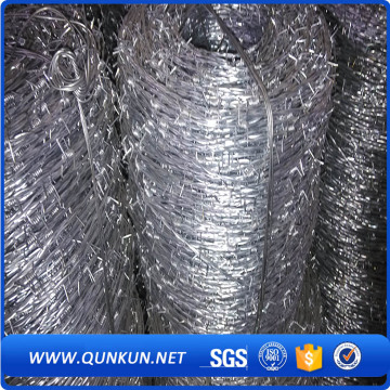 Electro and Hot dipped barbe wire