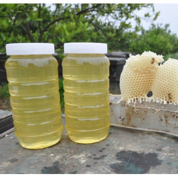 100% frischer Natur Bienenakazienhonig