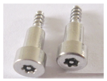 Plum Blossom Anti-theft Step Screw