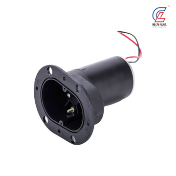 Windshield Washer Pump with Flange