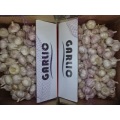 Hot Sale Normal White Garlic 2020