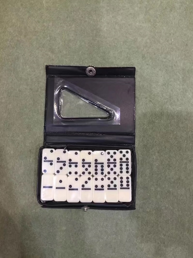 Mini Domino Set