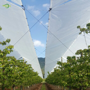 Clear reinforced polyethylene plastic cover