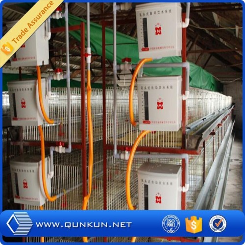 alibaba china cage for chicken used