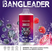 Bang 20000 Puffs Disposable Vape Germany Wholesale Online