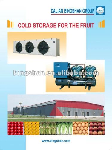 Long Term Preservation Vegetable And Fruit CA Cold Room