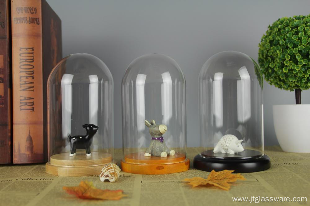 Clear Glass & Wood Tabletop Display Case