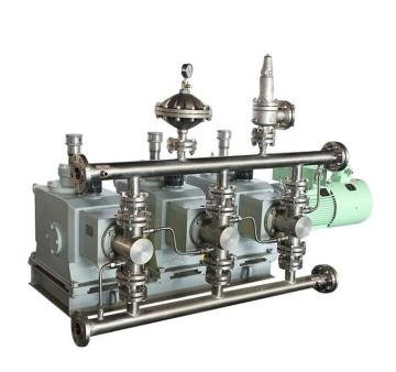 API 675 High Pressure Reciprocating Plunger Process Metering Pumps for Petroleum Industry