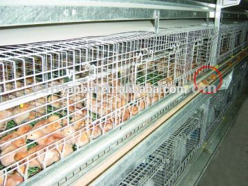 9LCDy-series H-type Multi-tier Pullet Chicken Coop Cages