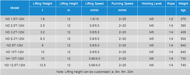 wire-rope-electric-hoist-fem-data