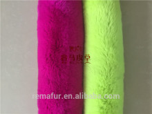 hot selling rex rabbit