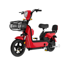Affordable Electric Scooter and Dirt Bike Batteries for Adults