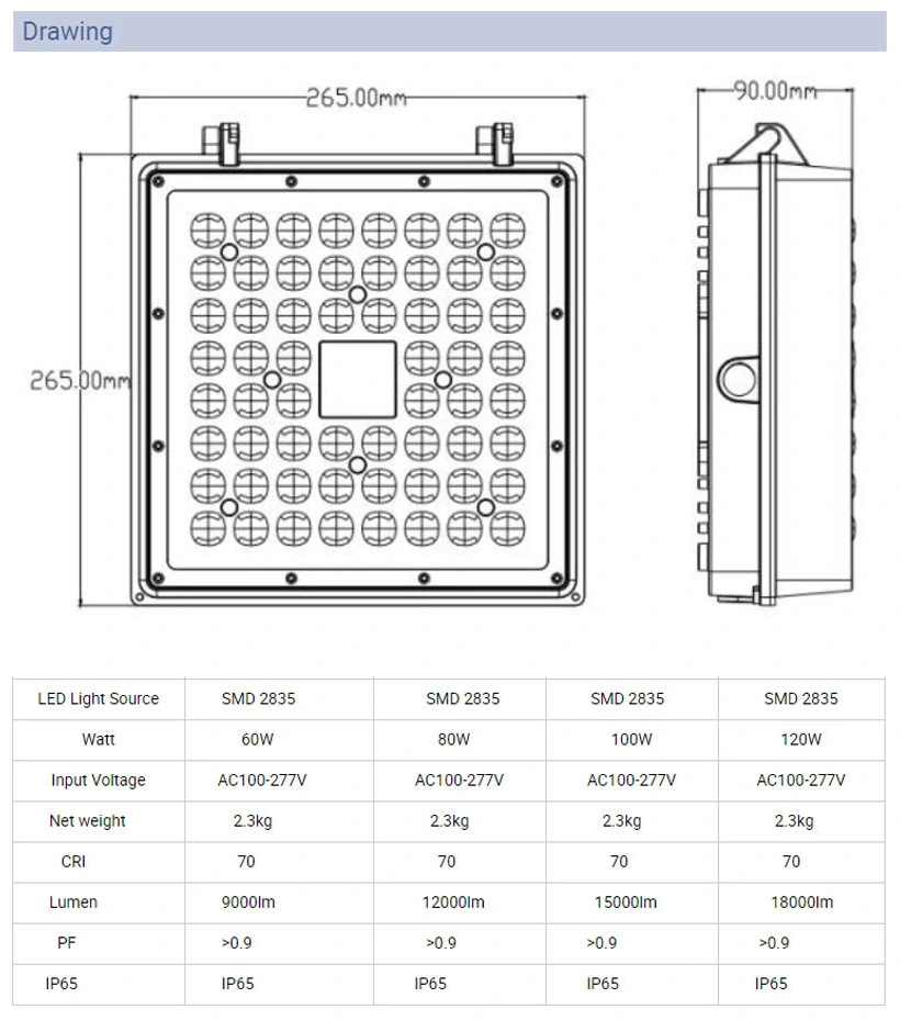 100W LED Canopy Light for Gas Station/Stadium/Metro Station