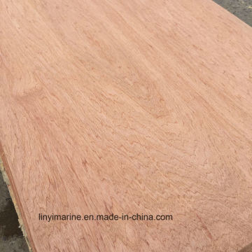 Special Size 12mm Eucalyptus Plywood Poplar Core Wood