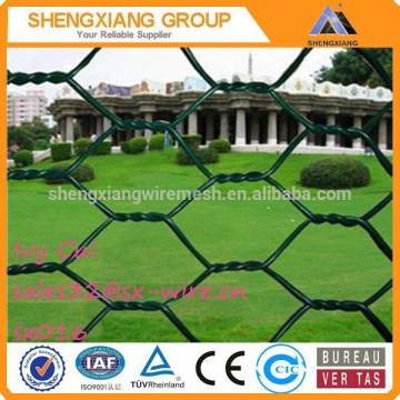 Hexagonal Iron Wire Netting/Hexagonal Wire Mesh