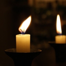 elephant paraffin wax household white candle