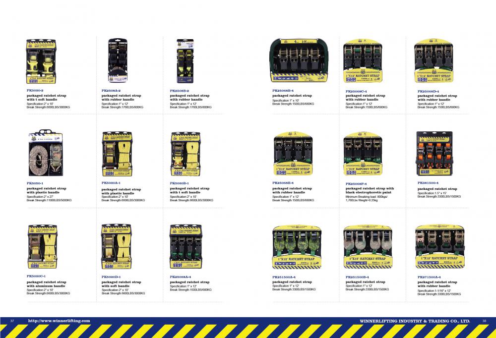 Various types of the ratchet tie down