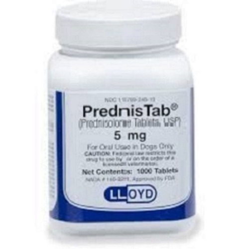 dosage de prednisolone liquide pour chats