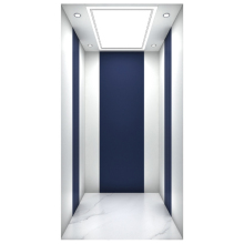 VVVF economic villa elevator